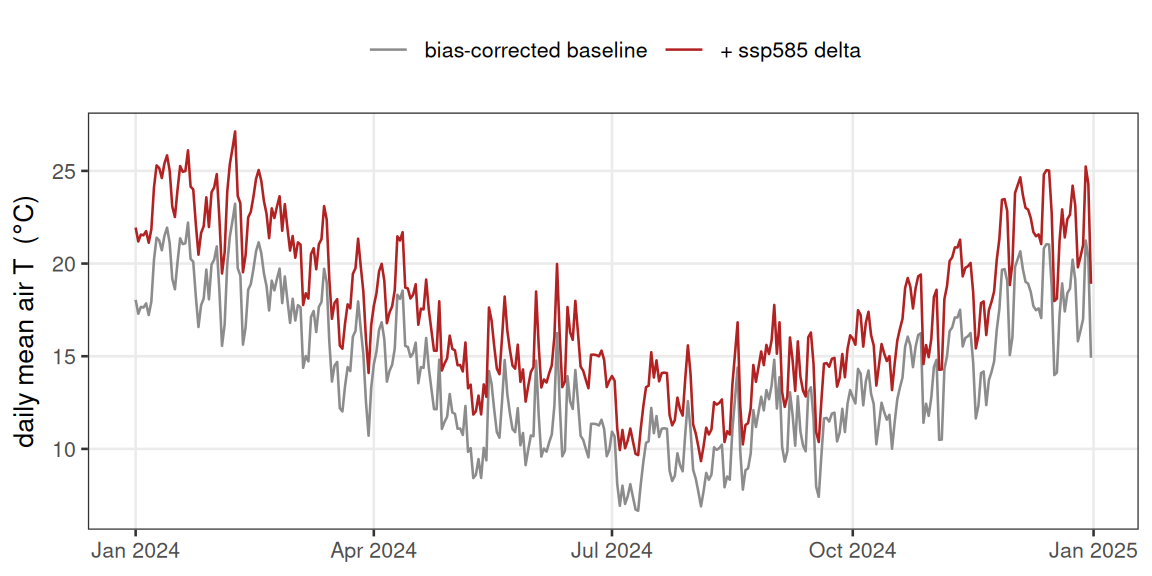 **Figure 4.** Effect of the delta-change step over one year: the bias-corrected daily-mean air temperature for 2024 (grey) and the same days after adding the `ssp585` 2090--2099 monthly signal (red). The offset varies by month, so the projected series is warped rather than simply shifted.